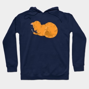 Cat on iPhone Hoodie